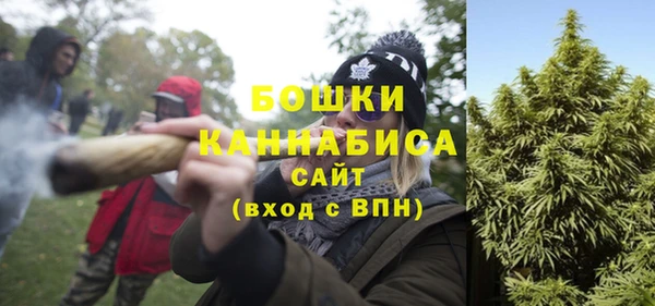 амф Каменногорск