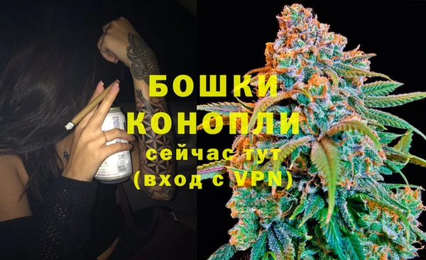 амф Каменногорск